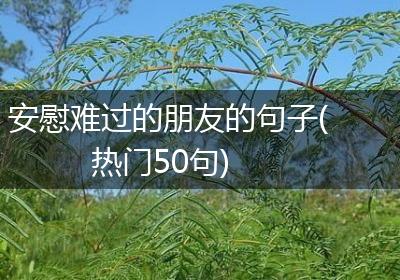 安慰难过的朋友的句子(热门50句)