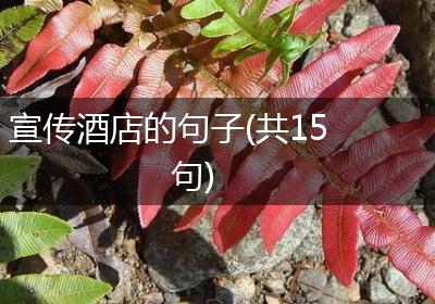 宣传酒店的句子(共15句)