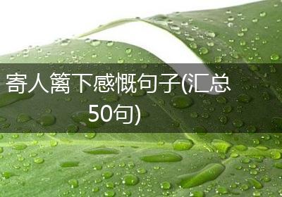 寄人篱下感慨句子(汇总50句)