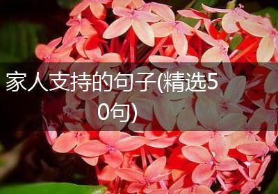 家人支持的句子(精选50句)