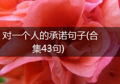 对一个人的承诺句子(合集43句)