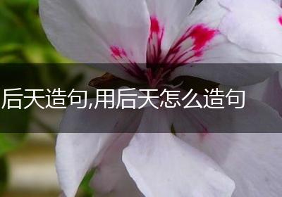 后天造句,用后天怎么造句