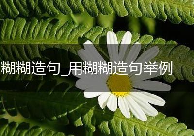 糊糊造句_用糊糊造句举例