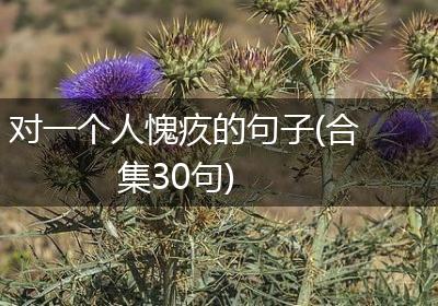对一个人愧疚的句子(合集30句)