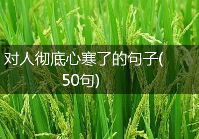 对人彻底心寒了的句子(50句)