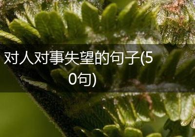 对人对事失望的句子(50句)