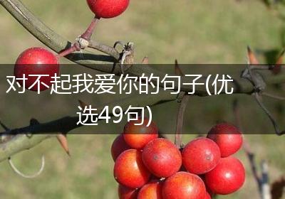 对不起我爱你的句子(优选49句)