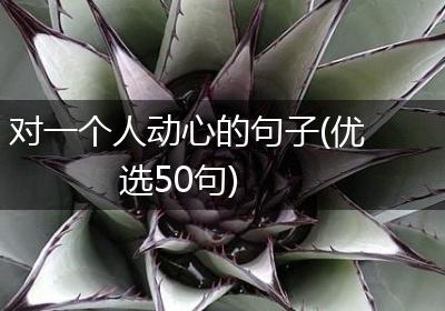 对一个人动心的句子(优选50句)