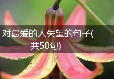 对最爱的人失望的句子(共50句)