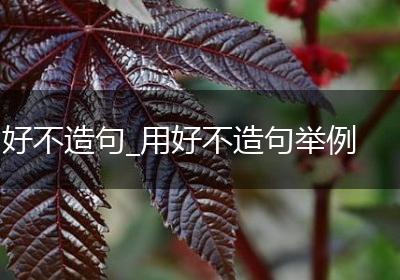 好不造句_用好不造句举例