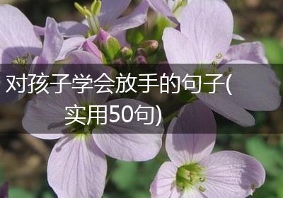 对孩子学会放手的句子(实用50句)