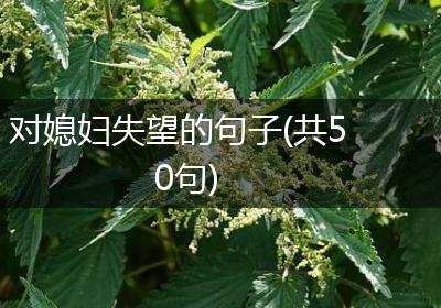 对媳妇失望的句子(共50句)