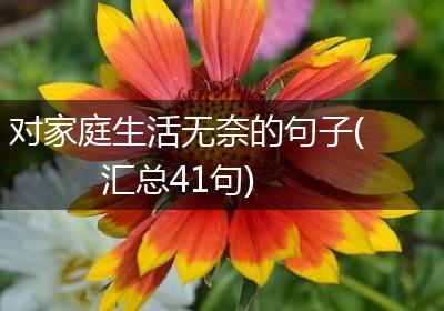 对家庭生活无奈的句子(汇总41句)