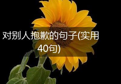 对别人抱歉的句子(实用40句)