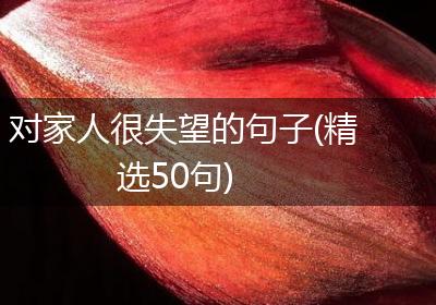 对家人很失望的句子(精选50句)