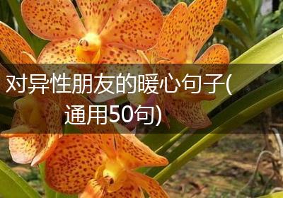 对异性朋友的暖心句子(通用50句)