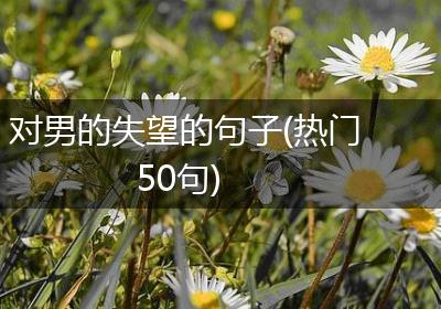 对男的失望的句子(热门50句)
