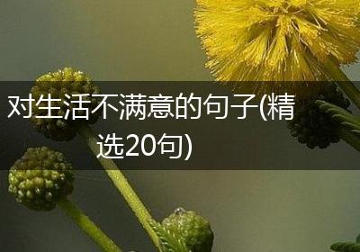 对生活不满意的句子(精选20句)