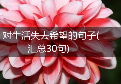 对生活失去希望的句子(汇总30句)