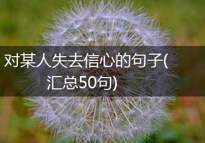 对某人失去信心的句子(汇总50句)