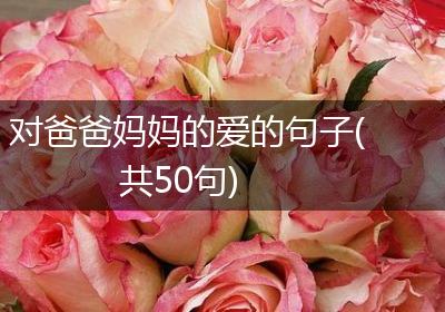 对爸爸妈妈的爱的句子(共50句)