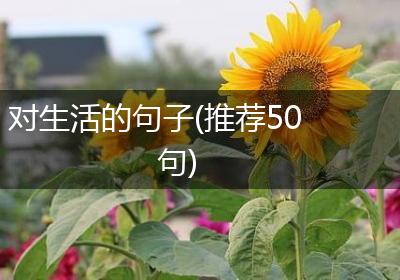 对生活的句子(推荐50句)