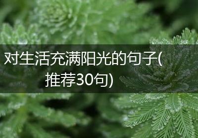 对生活充满阳光的句子(推荐30句)