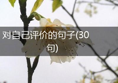 对自己评价的句子(30句)