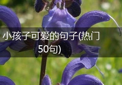 小孩子可爱的句子(热门50句)