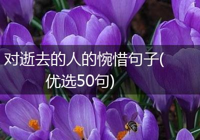 对逝去的人的惋惜句子(优选50句)