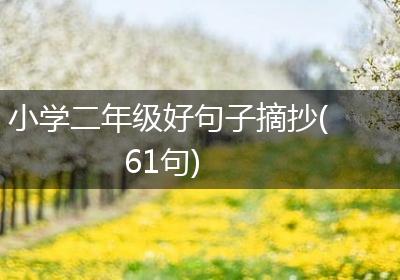 小学二年级好句子摘抄(61句)