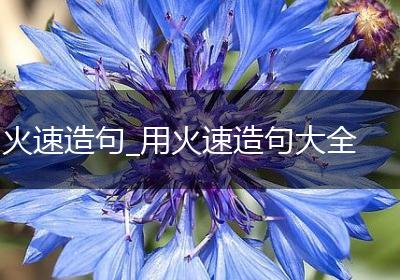 火速造句_用火速造句大全