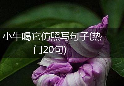小牛喝它仿照写句子(热门20句)