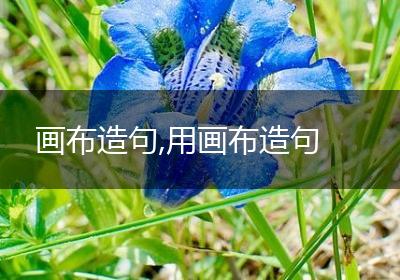 画布造句,用画布造句