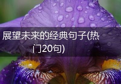 展望未来的经典句子(热门20句)