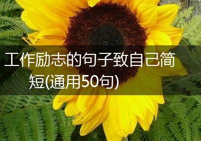 工作励志的句子致自己简短(通用50句)