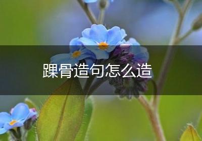 踝骨造句怎么造