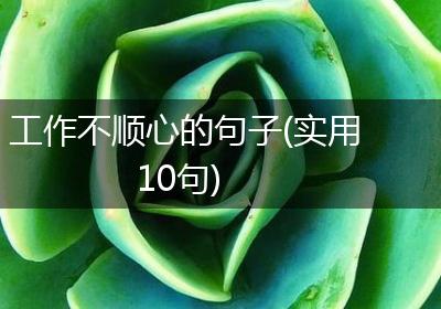 工作不顺心的句子(实用10句)
