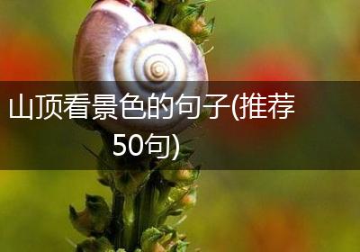 山顶看景色的句子(推荐50句)