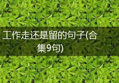 工作走还是留的句子(合集9句)