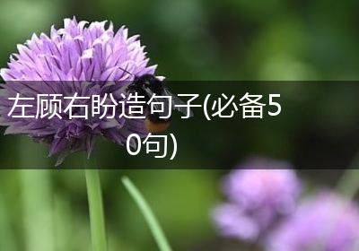 左顾右盼造句子(必备50句)