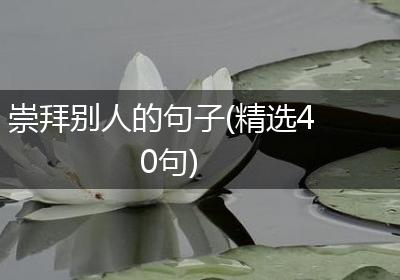 崇拜别人的句子(精选40句)