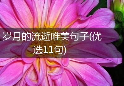 岁月的流逝唯美句子(优选11句)