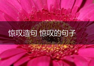 惊叹造句 惊叹的句子