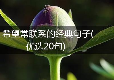 希望常联系的经典句子(优选20句)