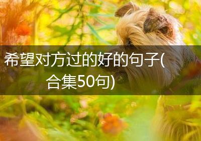 希望对方过的好的句子(合集50句)