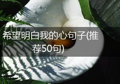 希望明白我的心句子(推荐50句)
