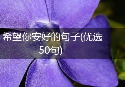 希望你安好的句子(优选50句)