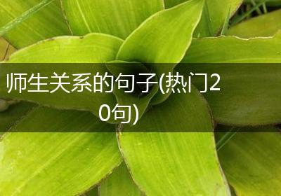 师生关系的句子(热门20句)