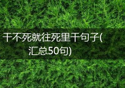 干不死就往死里干句子(汇总50句)